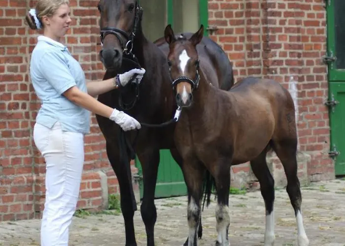 Appartement Meierei 26 *